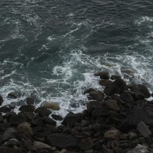 Meet your Posher, Evelyn